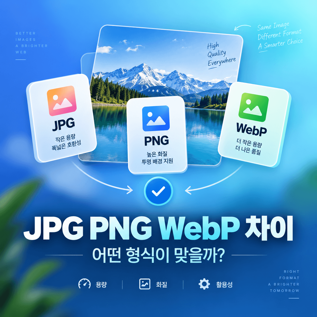 JPG PNG WebP 차이